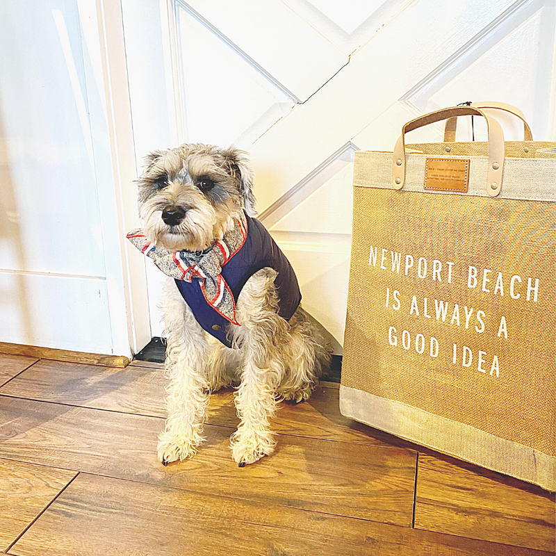 A PAWS -itively Fabulous New Collection Comes to Seaside