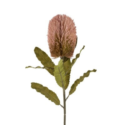 NS Banksia Floral Stem Pink