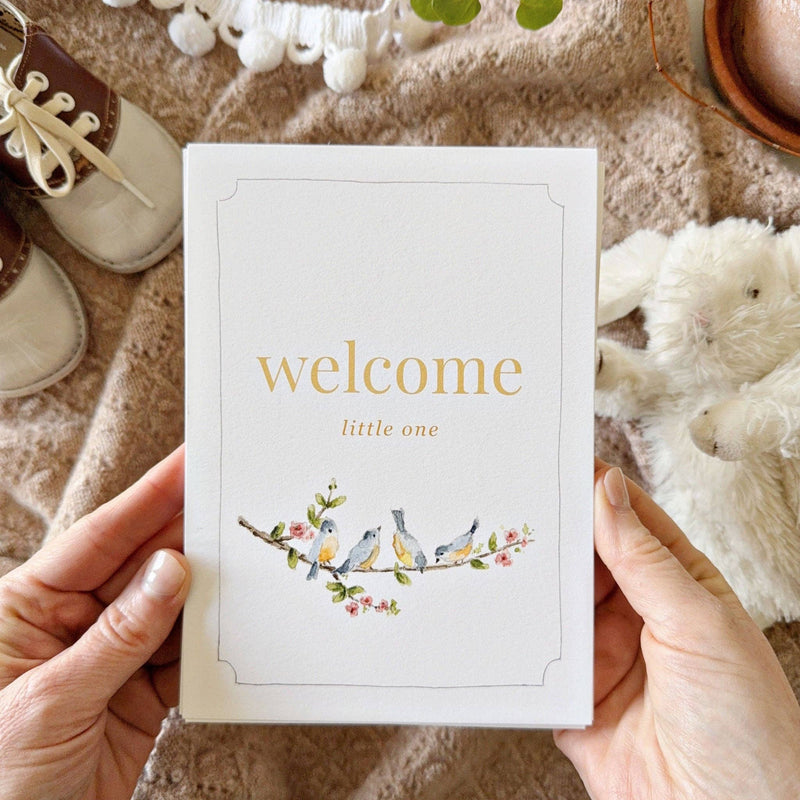 BA - Baby milestone cards