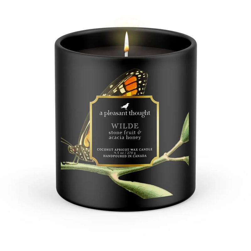 TL PT Clean Wood Wick Candle