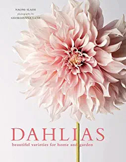 NS Book Dahlias