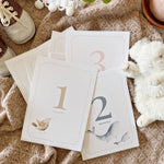BA - Baby milestone cards