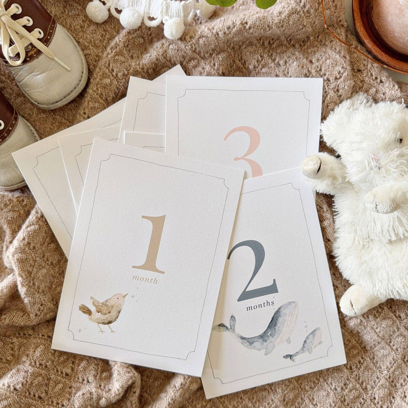 BA - Baby milestone cards