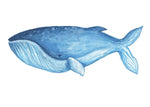 BA- Blue Whale Art Print