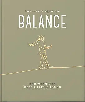 NS Book Balance