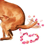 SP - Dog Valentine's Day Card