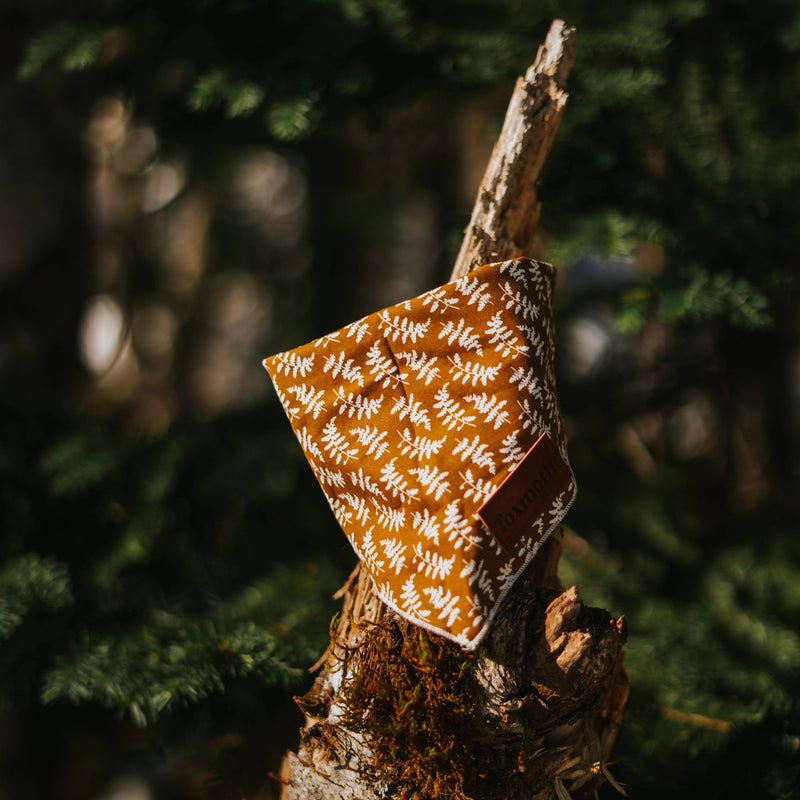 SP - Organic Cotton Dog Bandanas