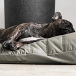 SP - Water-Resistant Low Rise Reversible Dog Bed