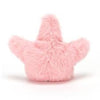 BA - Fluffy Starfish