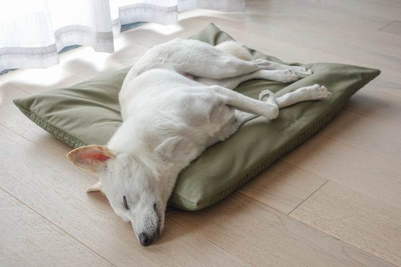 SP - Water-Resistant Low Rise Reversible Dog Bed