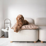 SP - Water-Resistant Low Rise Reversible Dog Bed