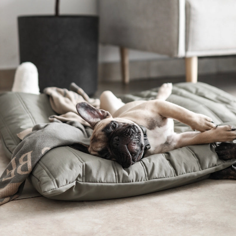 SP - Water-Resistant Low Rise Reversible Dog Bed