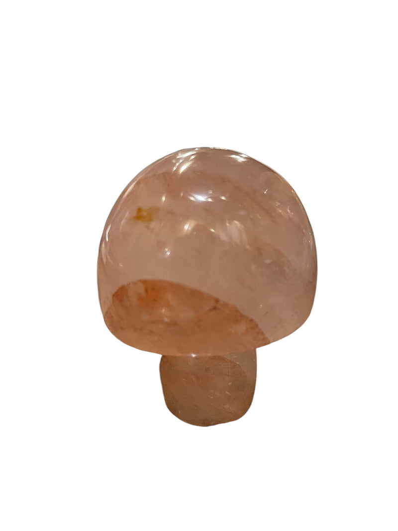 NS Marble Stone Figurine Mushrooms