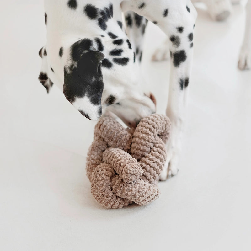 SP - Nou Enrichment Dog Toy - Taupe