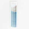 NS Paint Brush Set