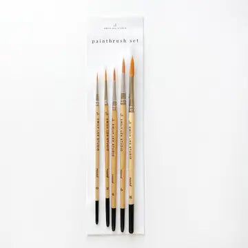 NS Paint Brush Set