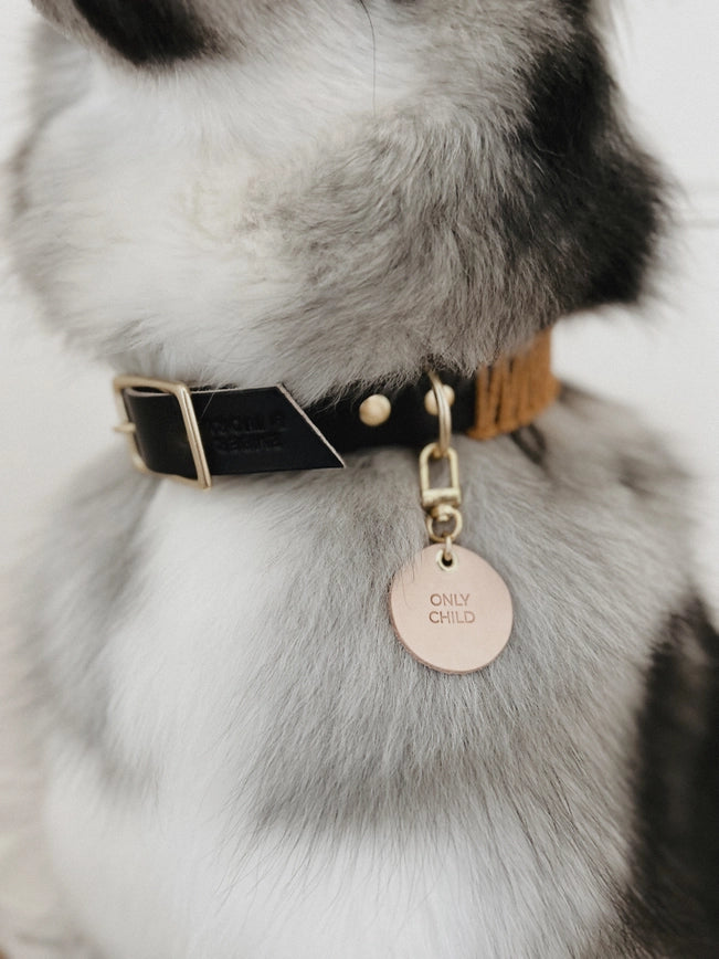 SP - Handmade Leather Dog Tag