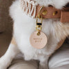 SP - Handmade Leather Dog Tag