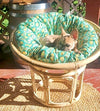 SP - Rattan Pet Bed - Papasan Chair