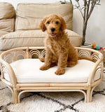 SP - Rattan Pet Bed - 'Sunrise'