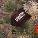 D Coastal Cowgirl trucker hat