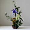 TIGER BLOSSOM: Botanic Arranging · Tues. Feb. 25th  11 am - 12 pm