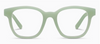 D Peepers Zinnia - light green