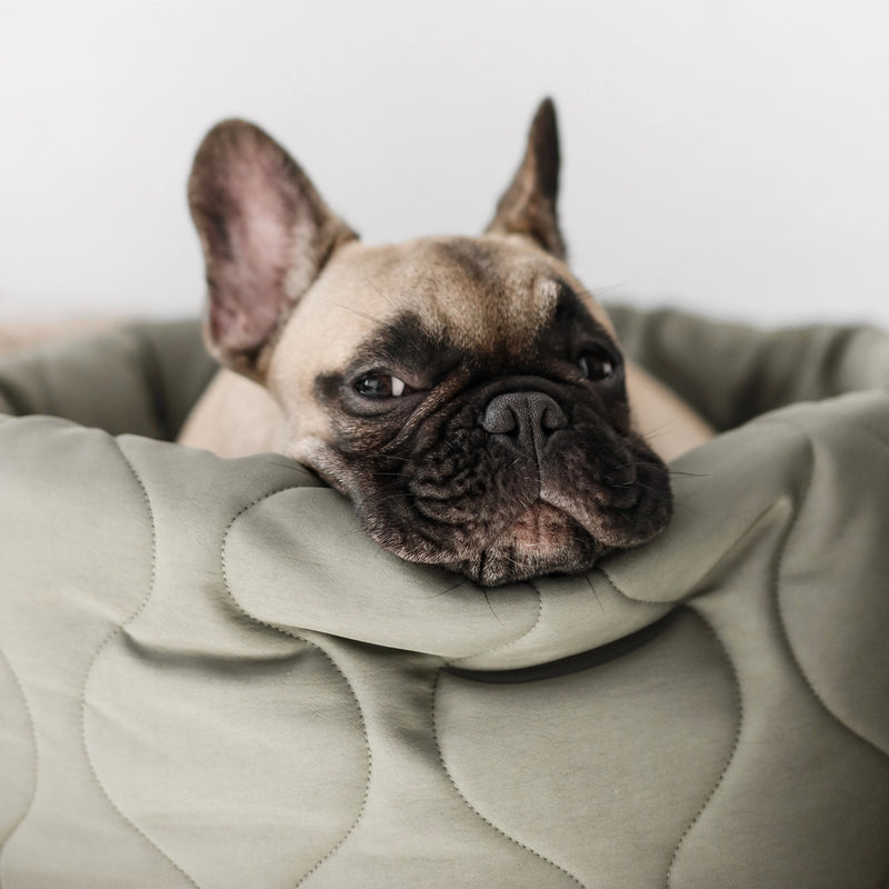 SP - Plush Round Pet Bed