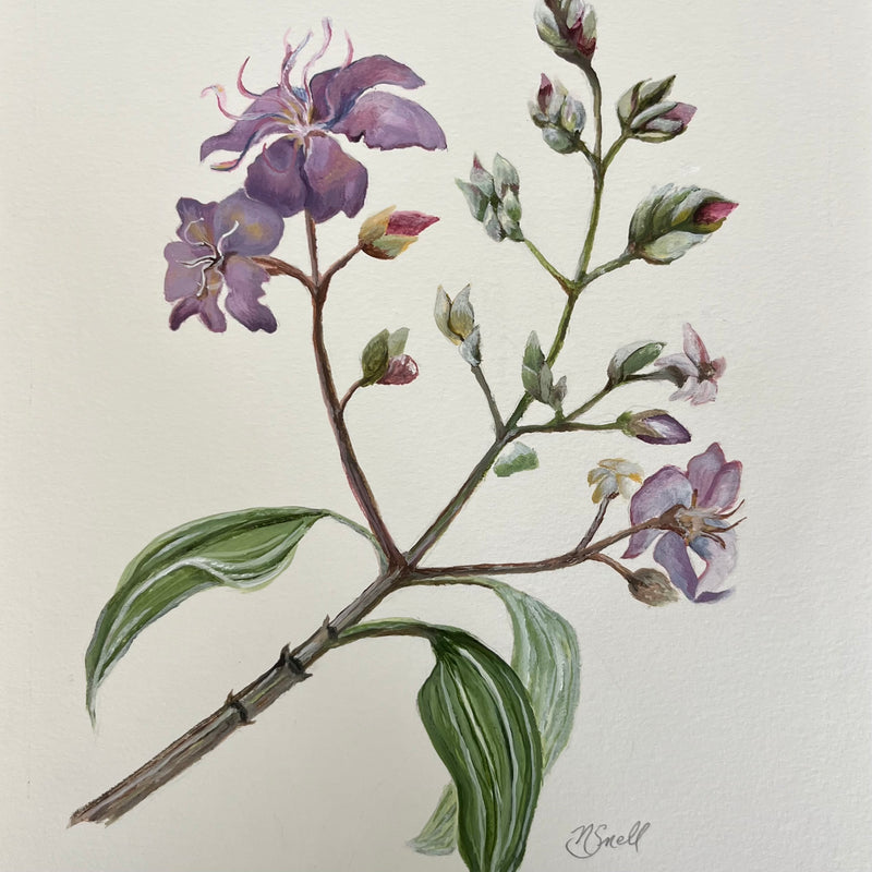 WS Pink Flowering Botanical by Nancy Snell