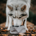 SP - Waxed Canvas & Vegan Leather Pet Travel Bowl