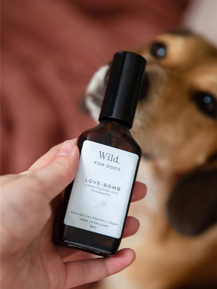 SP - Love-Bomb: Dog Fragrance