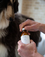 SP - So Fresh So Clean: Organic Dog Shampoo