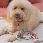 SP | Mini Dog Toy Set - Shoes & Socks