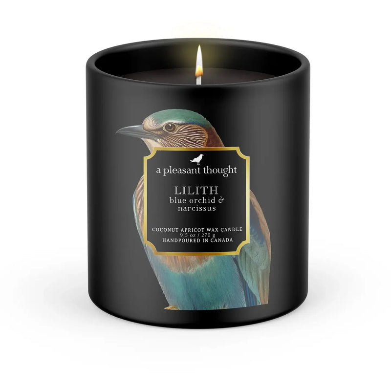 TL PT Clean Wood Wick Candle