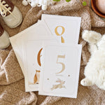 BA - Baby milestone cards