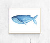 BA- Blue Whale Art Print