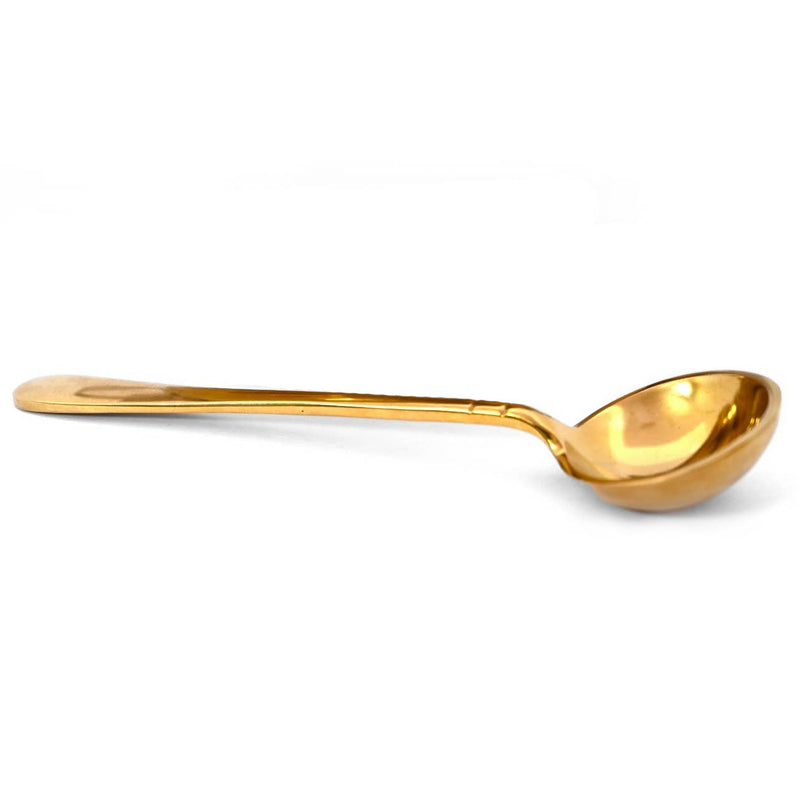 WS 9" Punjabi Brass Serving Spoon