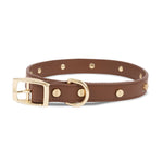 SP - Statement Stud Leather Collar