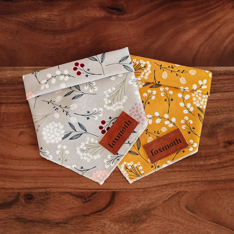 SP - Organic Cotton Dog Bandanas