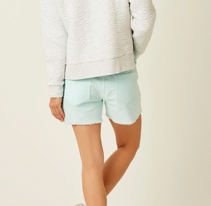 D Oahu Shorts - aqua