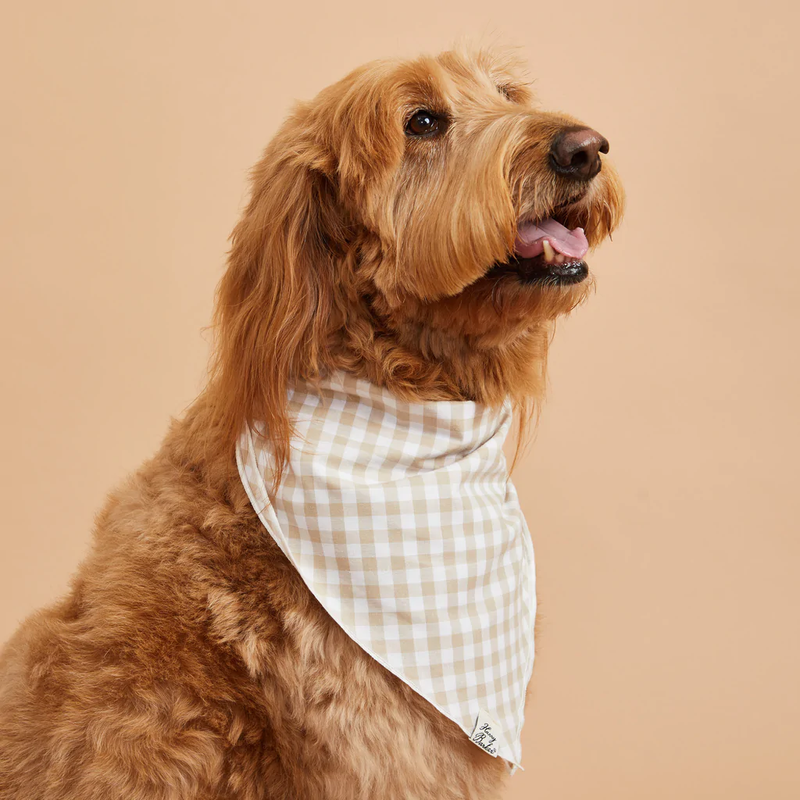 SP - Gingham Bandana